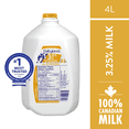 thumbnail image 1 of Dairyland 3.25% Homogenized Milk, 1 of 6