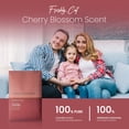 thumbnail image 6 of Expressive Scent 6 Pack Cherry Blossom Large Scented Sachet Air Freshener, 6 of 7