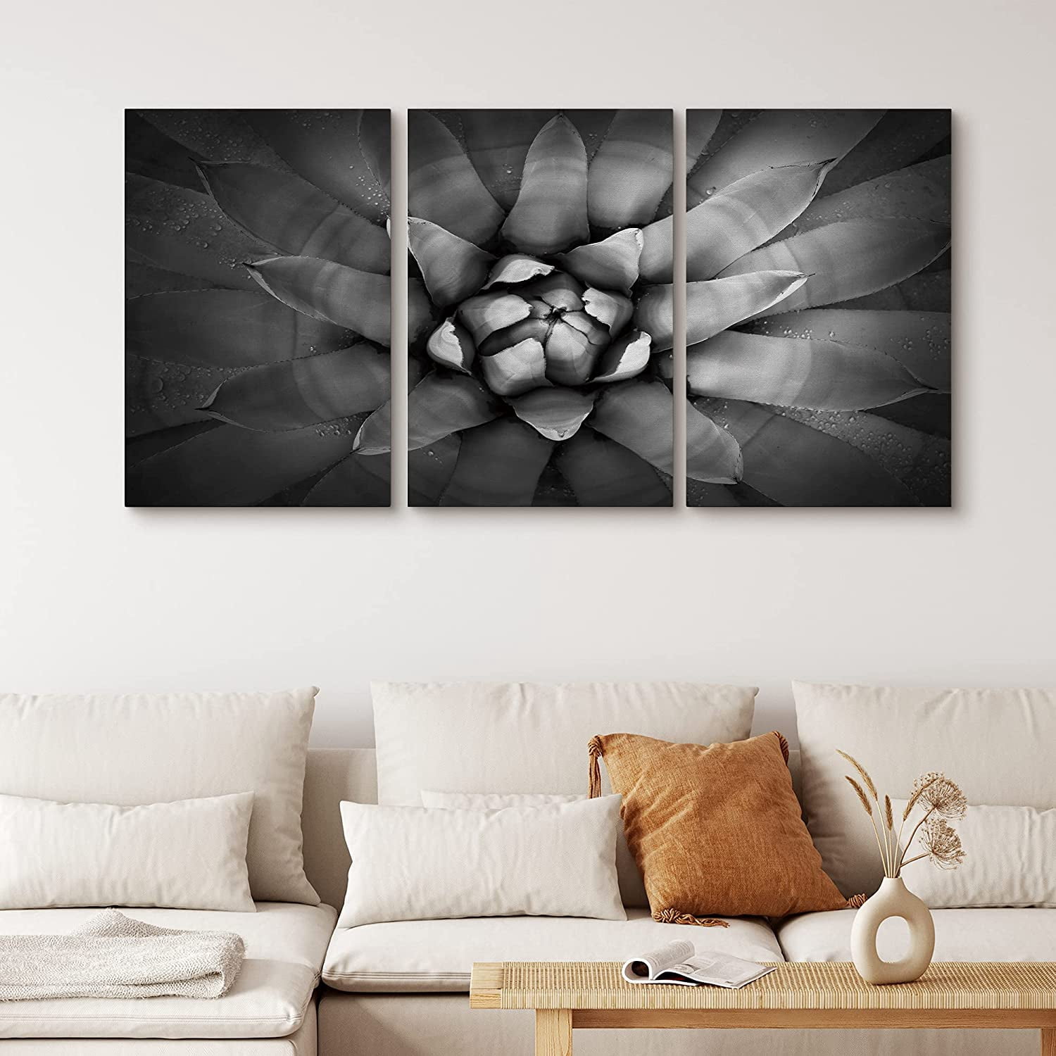 PixonSign Canvas Print Wall Art Set Blooming Echeveria Cactus Floral ...