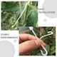 thumbnail image 5 of 100 pinzas de plástico para plantas de jardín, ganchos de soporte para tomates, pinzas para vid, suministros de jardinería, 5 of 7