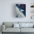 thumbnail image 2 of Trademark Fine Art spacerocket art  463 Canvas Wall Art, 2 of 4