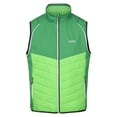 thumbnail image 4 of Regatta - Chaqueta Softshell Steren Hybrid para Hombre (Campo Verde, Verde Jasmín), 4 of 5