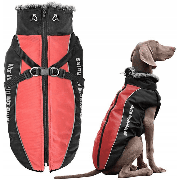 Dog cold hotsell weather jackets