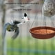 thumbnail image 4 of Comedero para pájaros colgante para baño de pájaros plataforma de comedero para pájaros con semillas para exteriores resistente a la intemperie fácil de alimentar ANGGREK Otros, 4 of 7