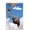 Premium Print and Beechwood Hanger Bundle, variant on Disney Pixar Up - One Sheet Wall Poster, 14.725" x 22.375"