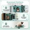 thumbnail image 5 of 53‘‘ Cat Tree with Sisal-Covered Scratching Posts and 2 Plush Rooms Cat Furniture for Kittens (Green + Black), 5 of 9