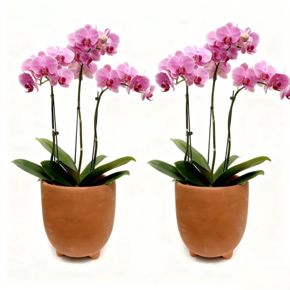 4 inch Handcrafted Tri-legged Terracotta Flowerpot for Phalaenopsis and Succulents, Kids' DIY Projects, Home Decor, Storage, and Pen Holder