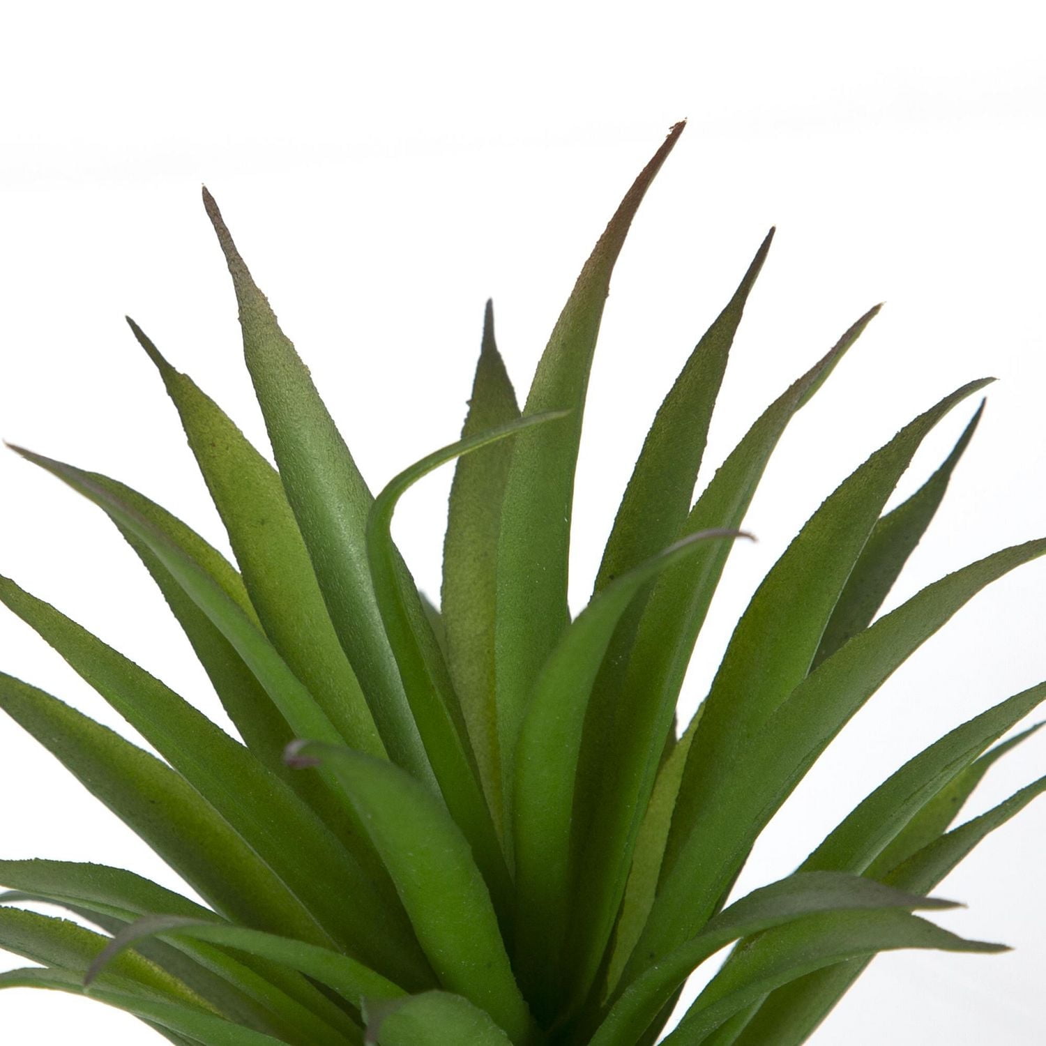 Plante grasse artificielle Gwinnett dans un pot avec chevrons de hometrends