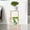 Gold, variant on Plant Stand, 4 Tier Metal Plant Display Rack Heavy Duty Garden Container Round Supports Rack 6 Flower Potted Holder with 4 Wheels