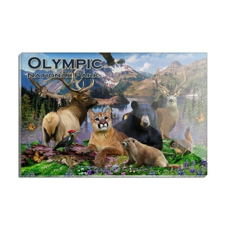 

Olympic National Park Washington WA Animals Cougar Bear Elk Beaver Rectangle Acrylic Fridge Refrigerator Magnet