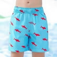 thumbnail image 2 of Gyexs Boys Swim Trunks Size 2T-3T Cartoon Dinosaur Print Swim Shorts Bathing Suit Elastic Waistband Casual Summer Beach Vacation Shorts X01-Sky Blue, 2 of 6