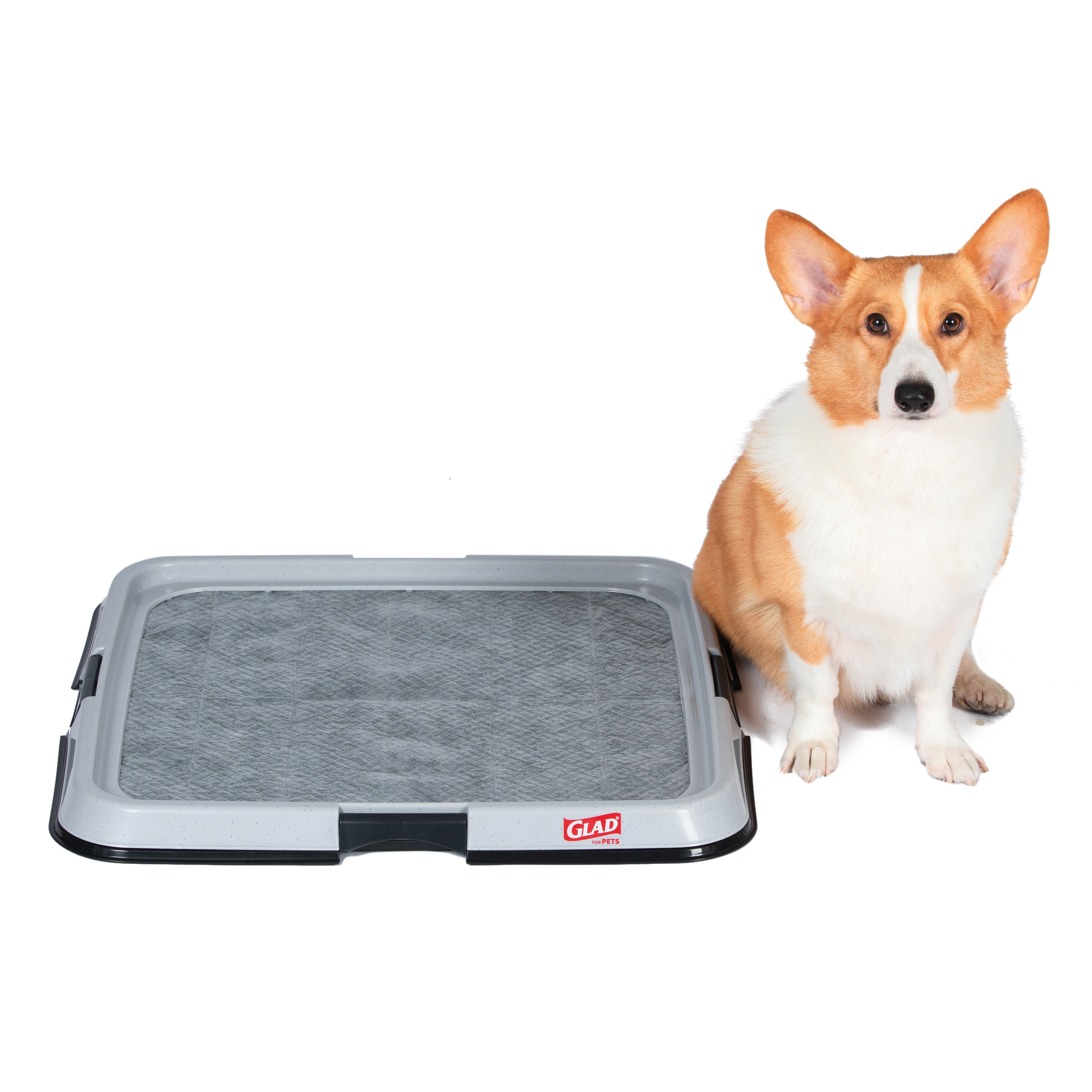 Glad For Pets Dog Training Pad Holder, 23x23 Inches photo 5
