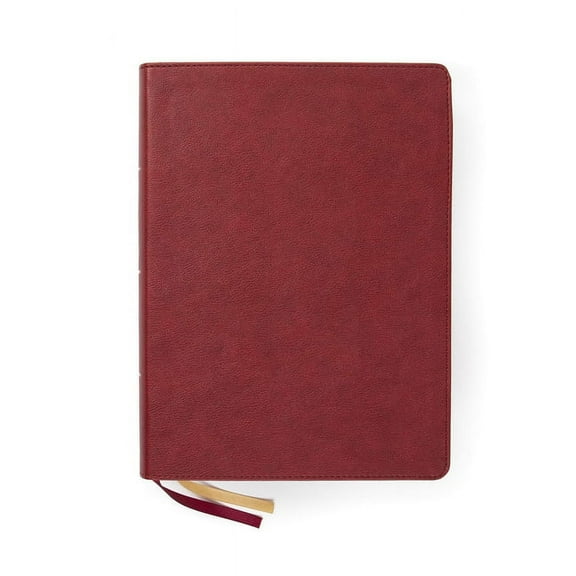 CSB Holy Land Illustrated Bible, Burgundy LeatherTouch, Indexed : A Visual Exploration of the People, Places, and Things of Scripture (Hardcover)