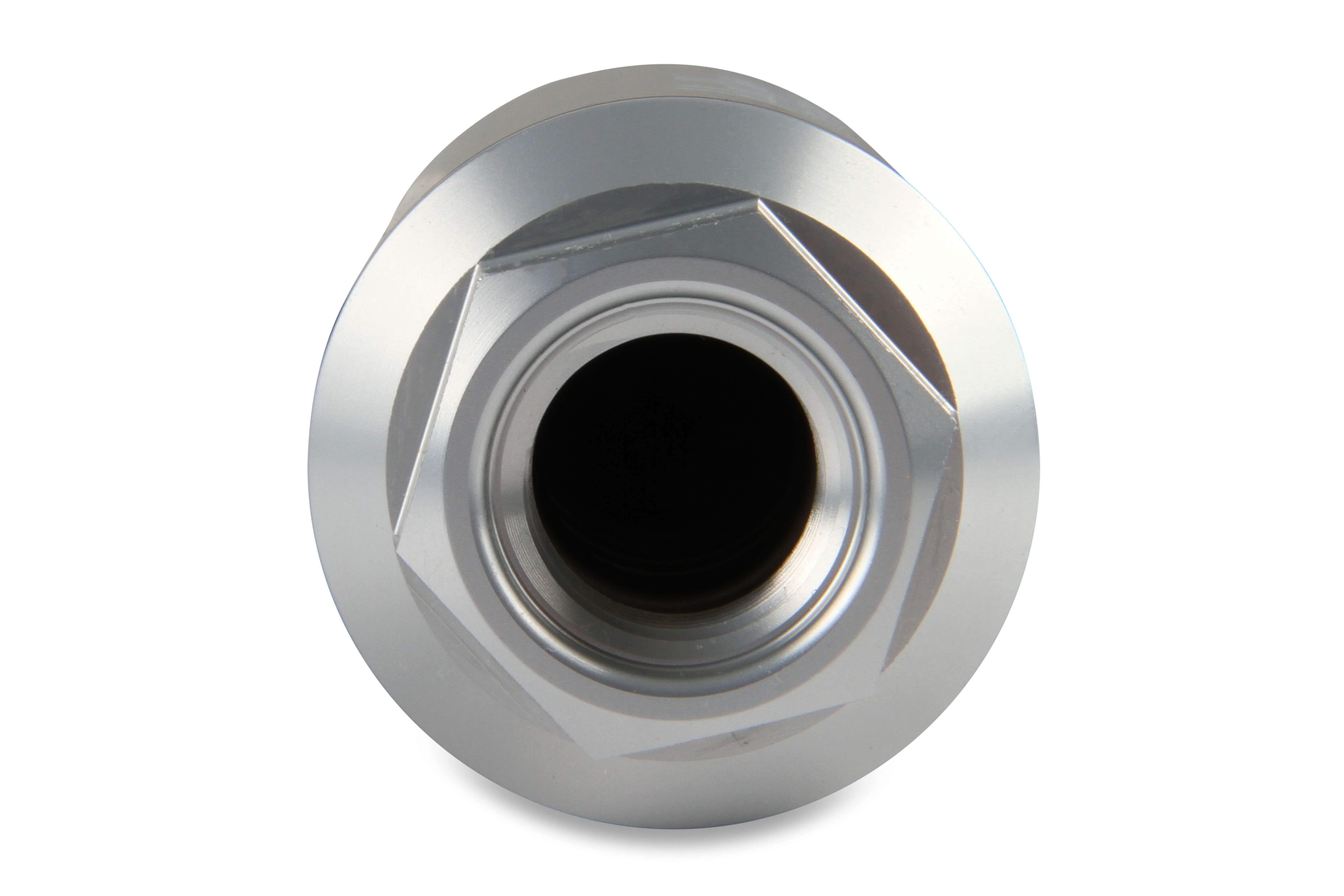 Earl's Performance 230610ERL Fuel Filter