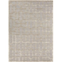 BoutiqueRugs Wadesboro Contemporary Area Rug - Light Gray, Beige - 5' x 7'6"