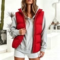 thumbnail image 2 of DYTTDG Women's Solid Color Stand Collar Puffer Vest, Full Zipper Sleeveless Outerwear With Side Pockets, Lightweight Casual Quilted Gilet for Fall Winter Daily Wear, 2 of 8
