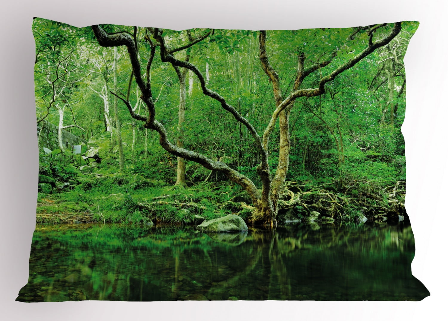 Green Pillow Sham Forest Moss Leaves Nature Themed Isolated Jungle