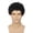 Black, variant on JOFMWIX Men's Curly African Wig, Short Wig, Men's California Halloween Costume Full Head Wig
