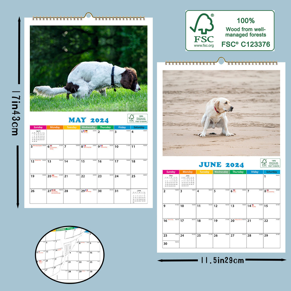 Calendar 2024-2025, 11" × 9", 2024-2025 Dog Poop Wall Calendar 