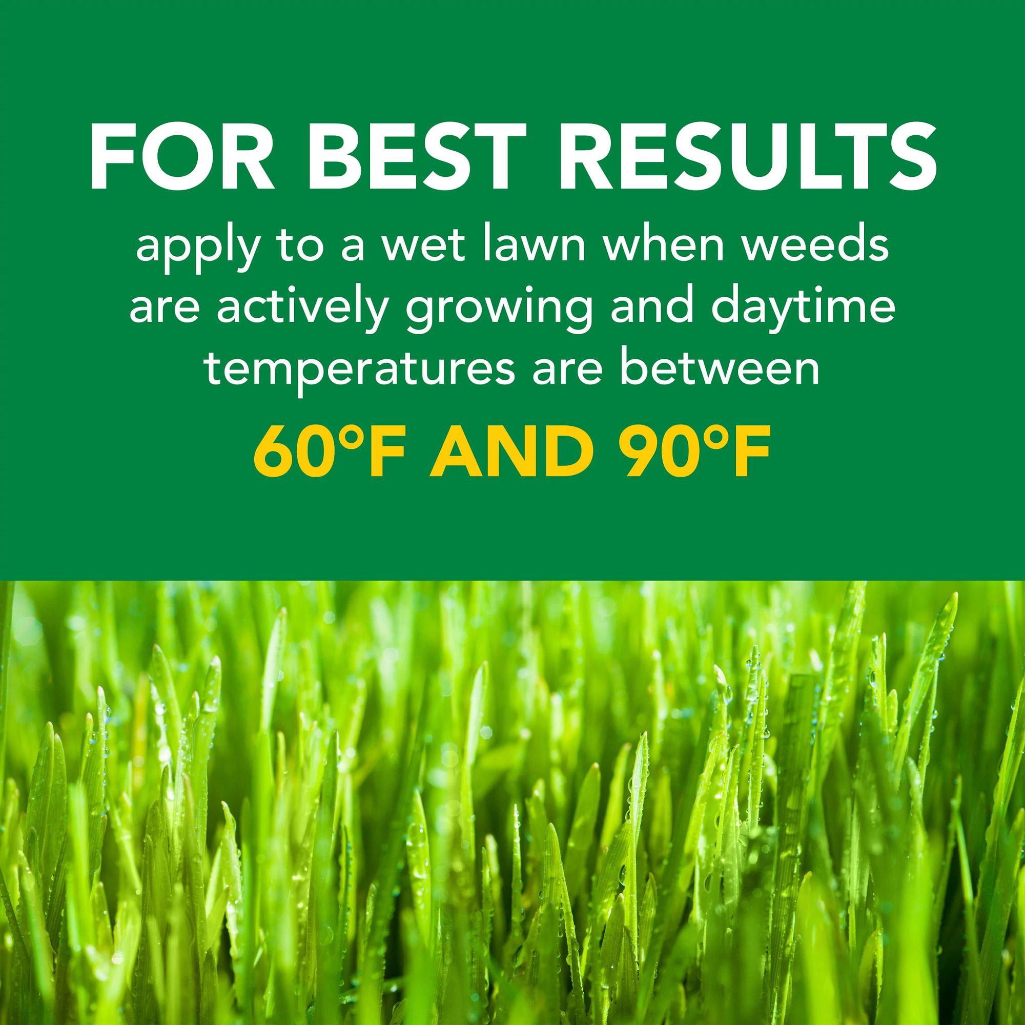 (4 pack) Scotts Turf Builder Weed and Feed, Controls Dandelion, Clover, 4,000 sq. ft., 11.32 lbs.
