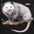 thumbnail image 3 of CafePress - Opossum Possum Animal T Shirt - Womens Football Shirt, 3 of 4