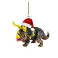 thumbnail image 1 of Colgante acrílico para árbol de Navidad - Adornos de dinosaurios y aviones - Adornos navideños en pack de 2, 1 of 1
