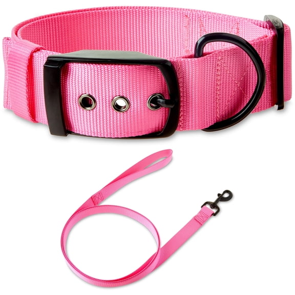 Vibrant Life Solid Polyester Adjustable Dog Collar, with 6ft Dog Leash, Pink, Extra Large
