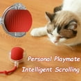 thumbnail image 3 of New Cat Interactive Ball Toy Automatic Rolling Ball Faux Tail Rechargeable Smart Pet Electric Toy Dog Cat Training Imitate Mouse, 3 of 10