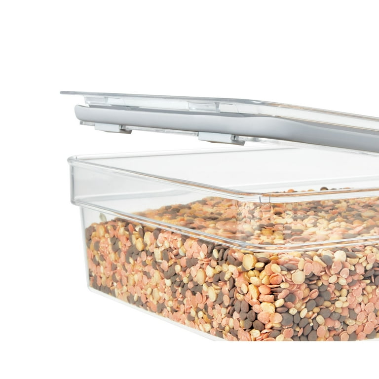 iDesign Large Short Dry Goods Storage Bin with Lid, Clear Plastic