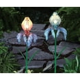 thumbnail image 2 of Hometrends Solar Flower Garden Stake Outdoor Lighting LED, 2 of 2