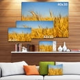 thumbnail image 3 of Bright Golden Wheat Field - Large Landscape Canvas Art, 3 of 4