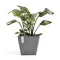thumbnail image 4 of Ecopots Rotterdam Durable Modern Square Indoor/Outdoor Recycled Based Composite Flower Planter, Grey, 12", 4 of 4