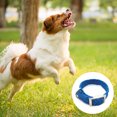 thumbnail image 3 of Blueberry Pet Collar para perro Martinger a rayas multicolor reflectante 3M de 8 colores, 3 of 5