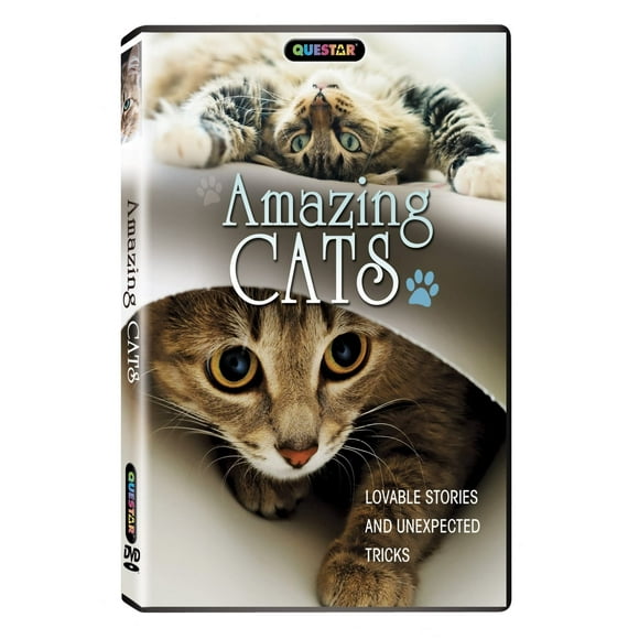 Amazing Cats