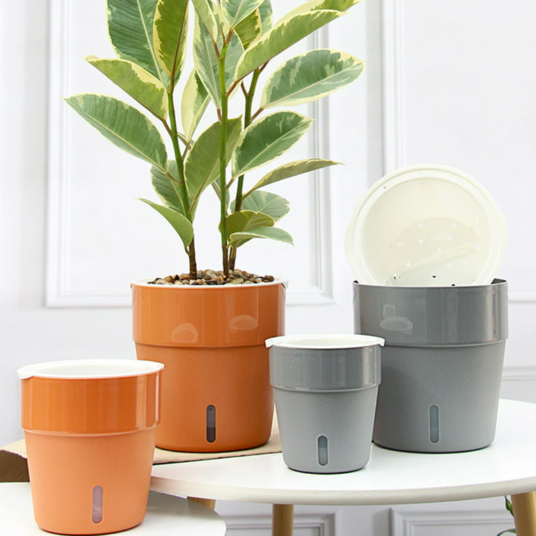 Plastic Self Watering Planter Pots, 6 Inch Plant Pots African Violet Pots  for Indoor Outdoor Windowsill Gardens, Self Aerating, High Drainage, Deep  Reservoir, White 