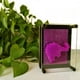 thumbnail image 3 of Juego de mesa Pin Art Foreverkeyu 3D Sensory Fidget para niños, 3 of 7