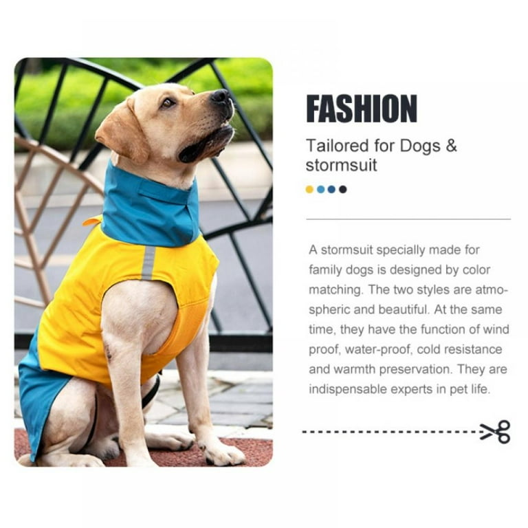 rain ponchos dog and owner matching raincoats