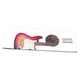 thumbnail image 4 of Póster de acordes de guitarra Diagrama de acordes de guitarra Herramienta multiusos para aprender guitarra Guitarra Escala de guitarra, 4 of 9