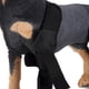 thumbnail image 4 of Rodillera para perro Yuyangstore Protector de articulaciones Negro M, 4 of 8