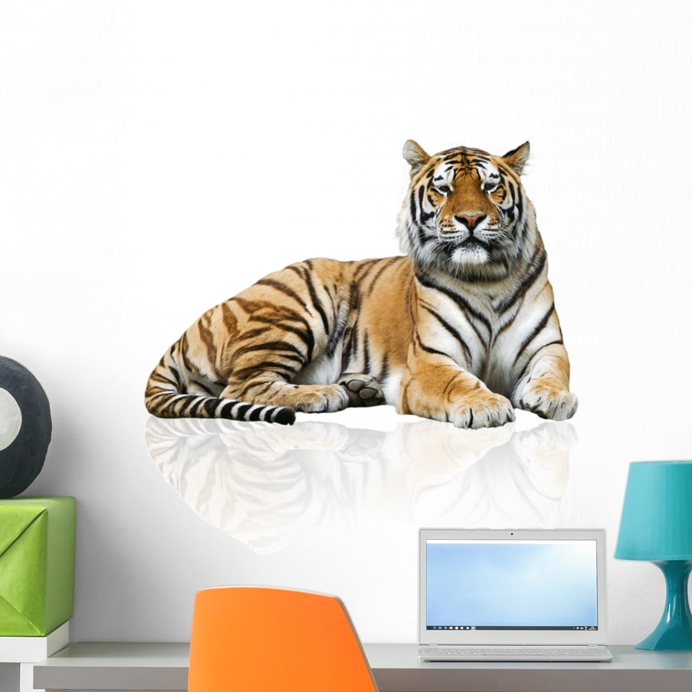 Tiger Wall Decal by Wallmonkeys Peel and Stick Graphic (24 in H x 24 in W) WM221894