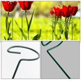 thumbnail image 3 of BESTYASH 10Ud Estructura De Soporte Para Plantas Trepadoras Color Ideal Para Jardín Exterior, 3 of 6