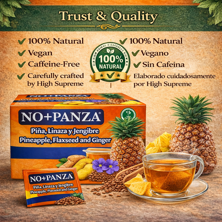 NO+PANZA Ginger, Pineapple, Flaxseed Tea, Detox, Metabolism Boost