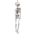 thumbnail image 2 of Terrifying Skull Decoration, Exquisite Resin Skeleton, Party Decor For Cemetery Scene House Halloween S,M,L, 2 of 8