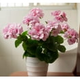 thumbnail image 2 of Morttic 2PCS 14'' Artificial Geraniums Silk Flowers Plants Home Outdoor Decor Garden Window Box, 2 of 5