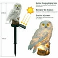 thumbnail image 5 of Owl Garden Stake, Solar Lights Outdoor Decorative Resin Owl Solar LED Lights with Stick for Garden Lawn Pathway Yard Decorations, 5 of 8