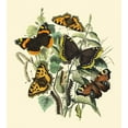 thumbnail image 2 of Vision Studio 20x22 White Modern Wood Framed Museum Art Print Titled - Butterfly Gathering II, 2 of 4
