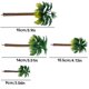 thumbnail image 5 of Plástico Artificial Decoración de árbol Miniatura Plantas simuladas Adornos Hecho A Mano Adorno Dormitorio Hogar Jardín 12 Paquetes sidaley HA011969-00, 5 of 6