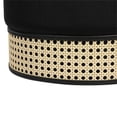 thumbnail image 3 of TOV Furniture Pouf Lierre Velours Noir, 3 of 7