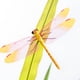 thumbnail image 5 of Toystoory 5 uds jardín libélula decoración modelo accesorios hogar insecto escultura Artware artesanía Prop jardinería simulación insectos Plantas Artificiales, 5 of 6