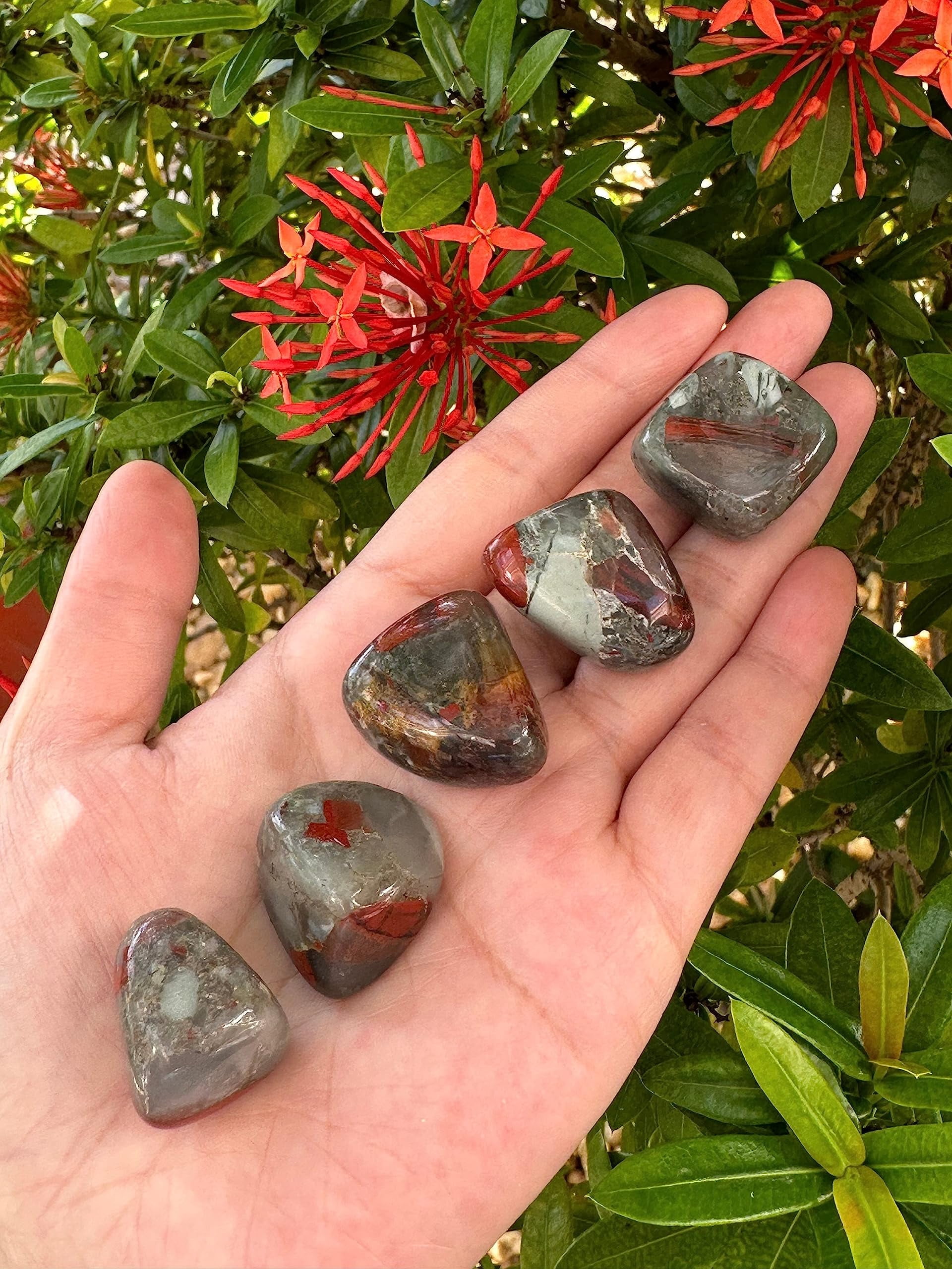African Bloodstone Tumbled Stones, Polished African Bloodstone Gemstone, African Bloodstone Healing Crystals (African Bloodstone, 0.5 Pound)